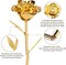 Gold Dipped Rose Real 24K Gold Rose, Genuine One of a Kind Rose Hand Dipped in 24K Golden Roses Romantic Gifts for Women in Her Birthday Anniversary Day Mothers Day